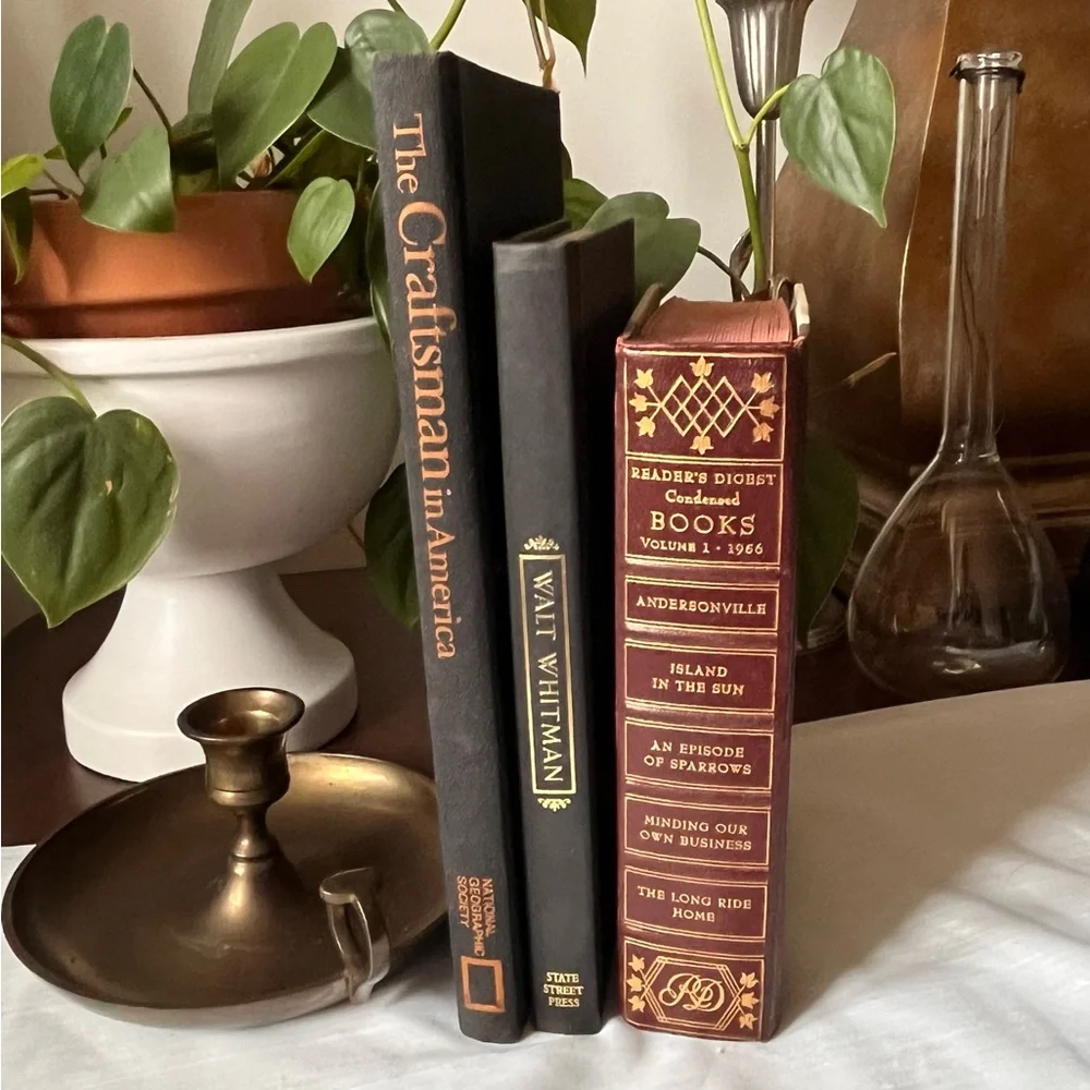 Curated Book Stack Set Decorative Vintage Hardcover Shelf Filler Dark Tones